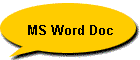 MS Word Doc